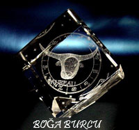 Boa Burcu