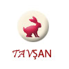Tavan